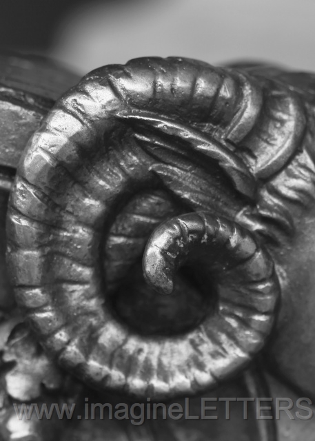Wall_Art_Alphabet_Photography_Art_ 674.jpg